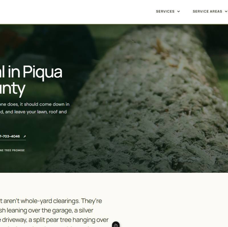 Website Design — additional photo