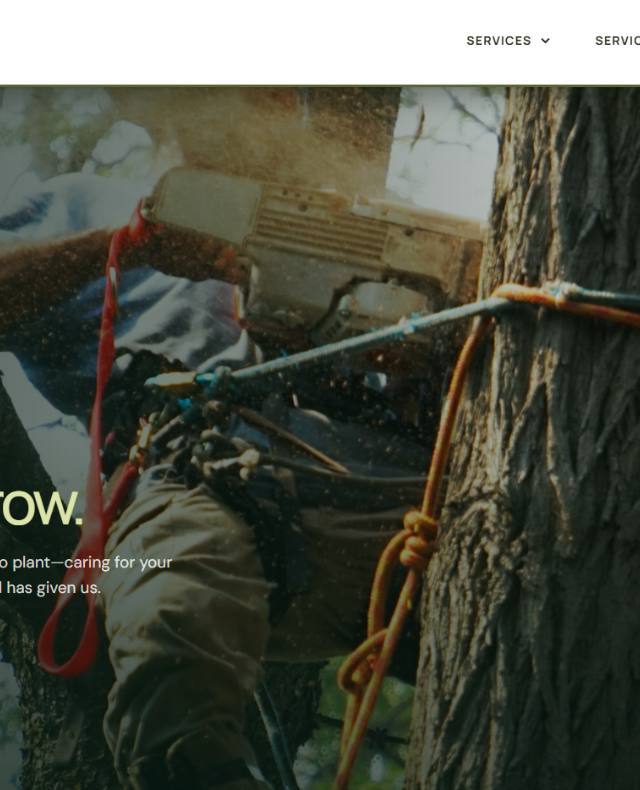 Website Design, Local SEO & Google Business Profile in Piqua